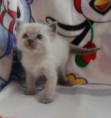/album/fotogalerie-chico/sam-2715-jpg/