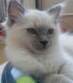 /album/fotogalerie-chico/sam-4677-jpg/